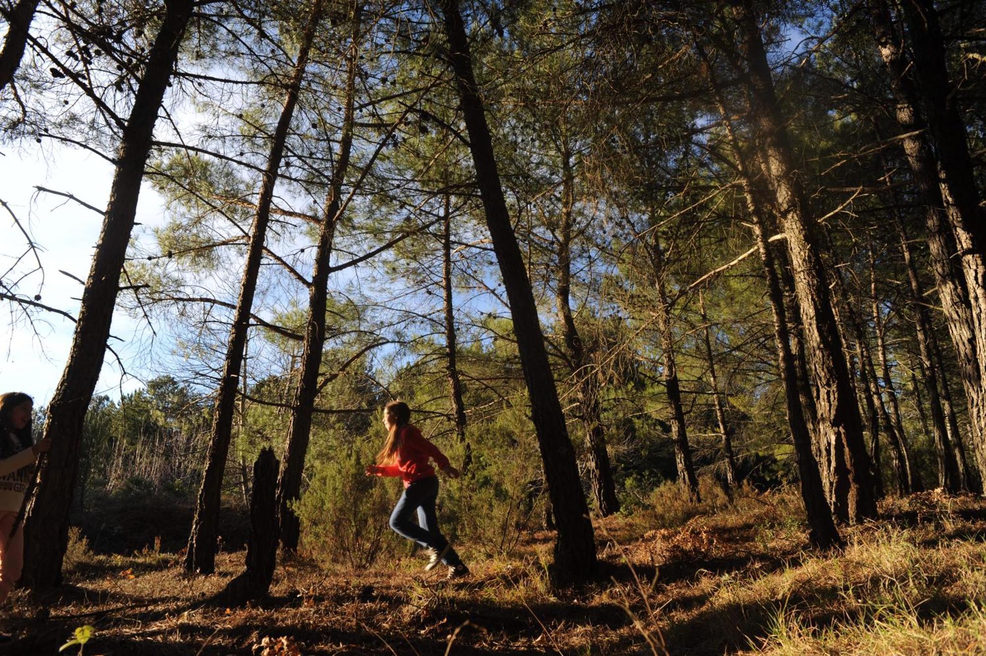 Foresta In Medias Mores Tripoli Exteriér fotografie