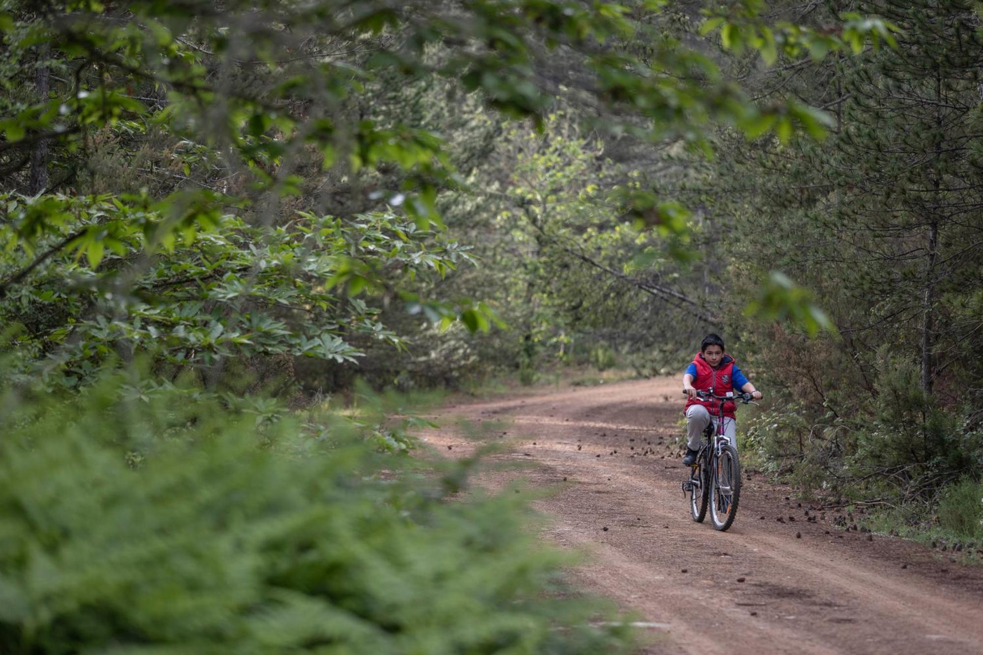 Foresta In Medias Mores Tripoli Exteriér fotografie