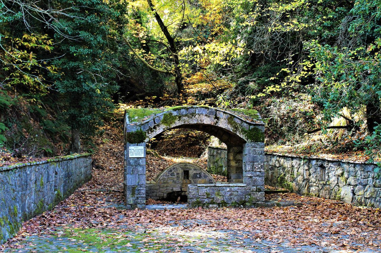 Foresta In Medias Mores Tripoli Exteriér fotografie