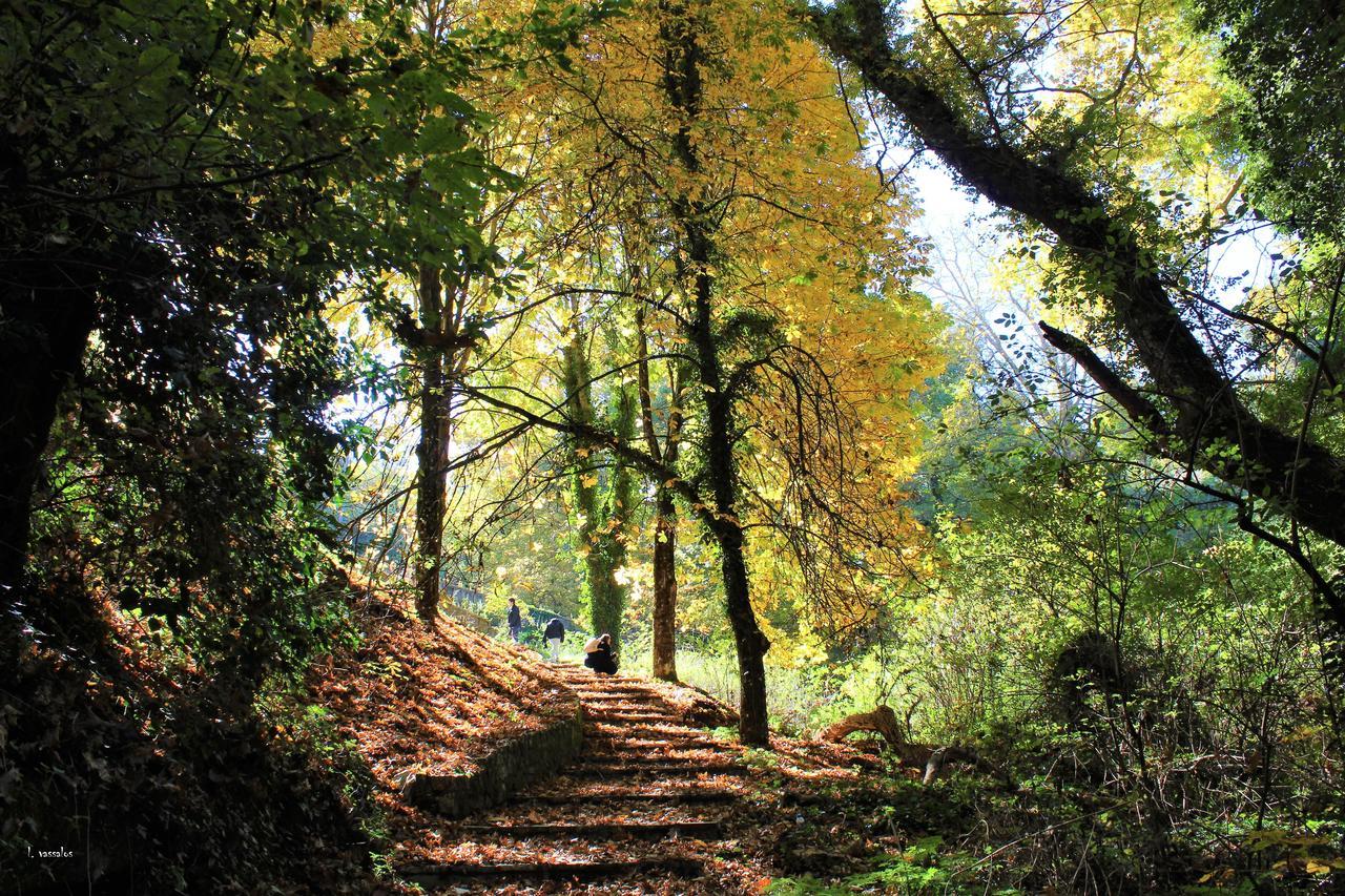 Foresta In Medias Mores Tripoli Exteriér fotografie